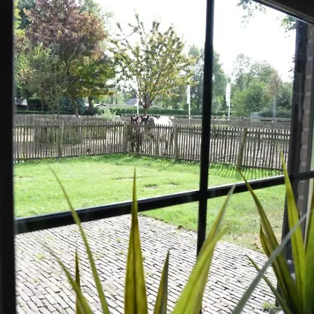 Groepsboerderij 20 Pers. Hotel *