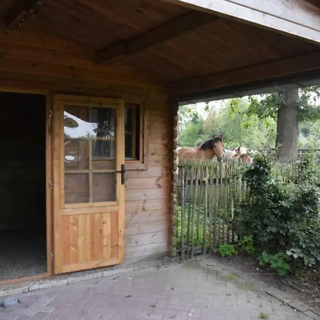 Groepsboerderij 20 Pers. Hotel
