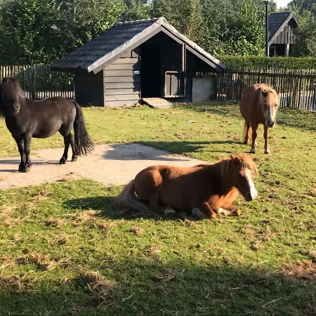 Groepsboerderij 20 Pers. Отель Вортхёйзен