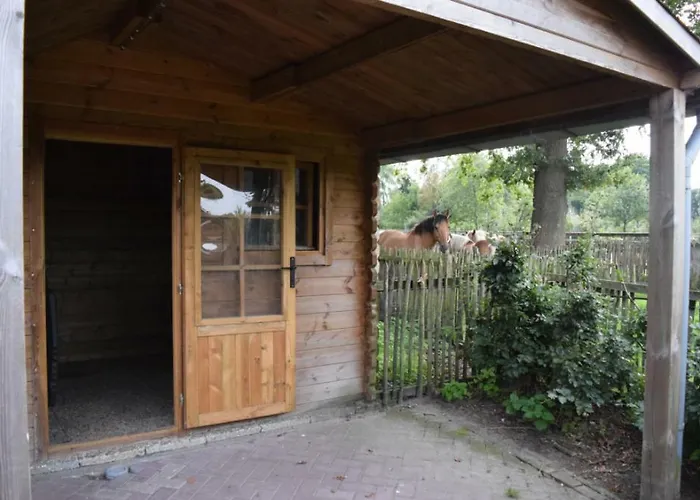 Groepsboerderij 20 Pers. Hotel