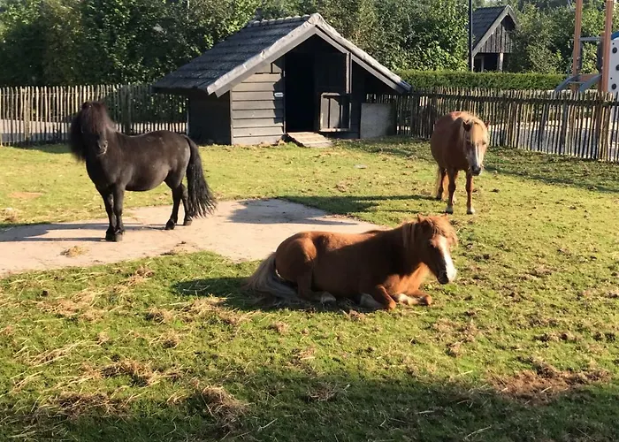 Groepsboerderij 20 Pers. Hotel Voorthuizen